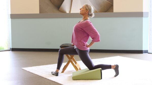 GYROTONIC® Wedge - Image 4