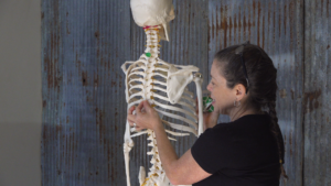 Justine is shown putting green dots on a skeleton, marking landmarks