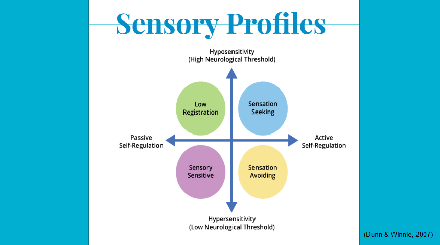 A chart displaying the Sensory profiles of Hyposensitivity, Active Self-Regulation, Hypersensitivity and Passive Self-Regulation